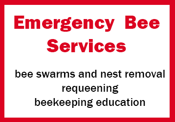 Emergency bee Services